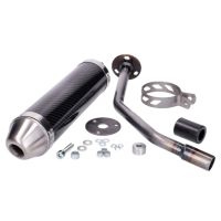 Silencieux Giannelli carbone Beta RR 50