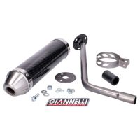 Silenciador Giannelli carbono Peugeot XP6 SM Furia Max 50