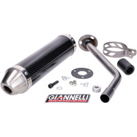 Silencieux Giannelli Beta RR Enduro Motard 50 avant 2020 Carbone