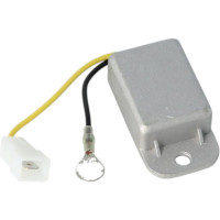 Régulateur de tension DMP 6V 2 fils universel