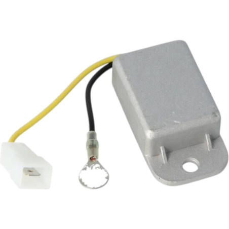 Régulateur de tension DMP 6V 2 fils universel