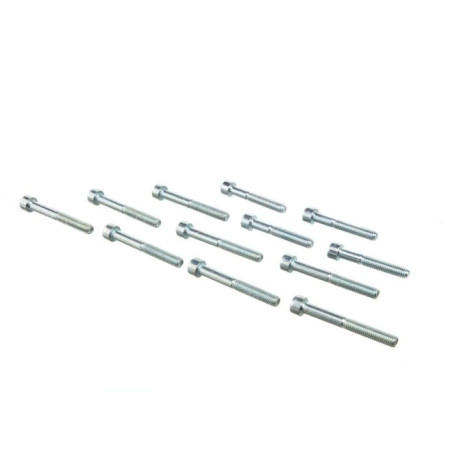 Kit tornillería cárter motor Derbi Euro 3 y 4 MOST