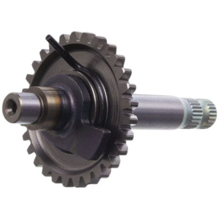 Axe de kick type origine complet Derbi Gilera Aprilia