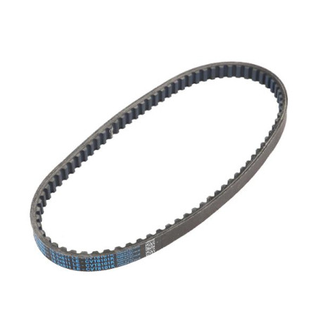 Correa Dayco Kevlar 811x18.5 Piaggio Gilera