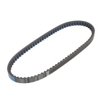 Correa Dayco Power 804x17.5 Piaggio NRG NTT Free