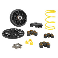 Variateur Replay Black Edition Peugeot 50 2T avec galets et ressort
