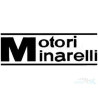 Motori Minarelli S.P.A.